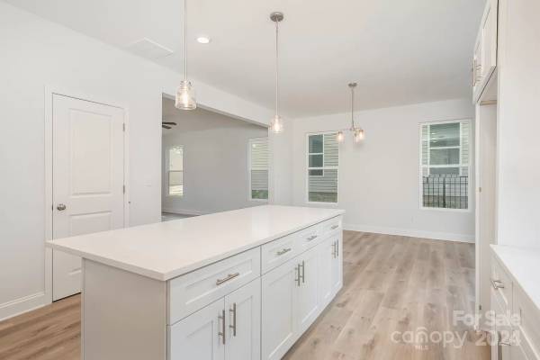 7128 Plott Road, available home by Red Cedar Homes (photo 4 of 30)