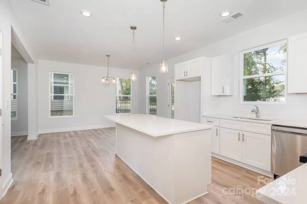 7132 Plott Road, available home by Red Cedar Homes (photo 9 of 33)