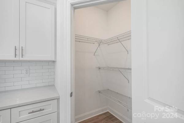 1126 Simfield Valley Court, available home by Red Cedar Homes (photo 7 of 29)